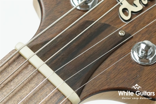 Border Plus 670 - Indigo Blue